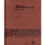 Bíblia DN 54C - Castanha