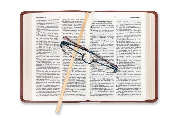 Bíblia DN 54C - Castanha