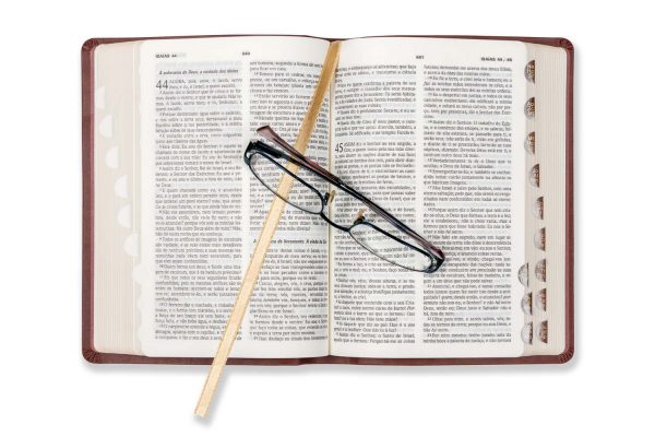 Bíblia DN 54C TI - Castanha