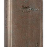 Bíblia DN 64TILG - Bronze