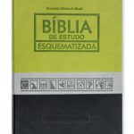 Bíblia Estudo Esquematizada (RA085EESQ)