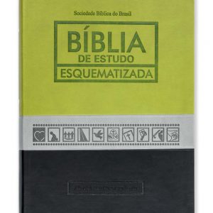 Bíblia Estudo Esquematizada (RA085EESQ)